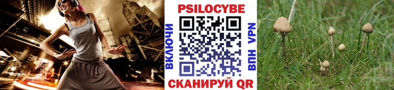 Псилоцибиновые грибы прущие грибы  hydra ссылка  Шебекино 